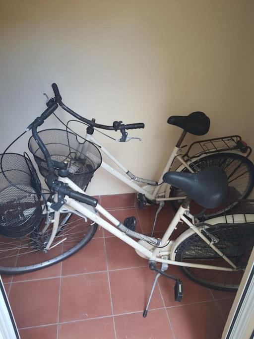Gate 295 Apartment Livorno